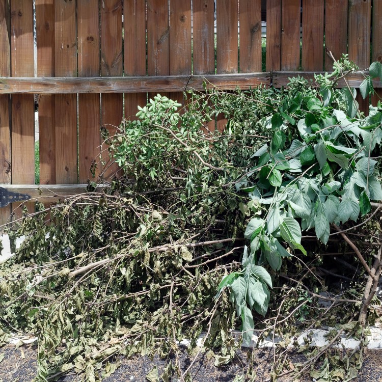 Storm Recovery Services in Waynesville, NC